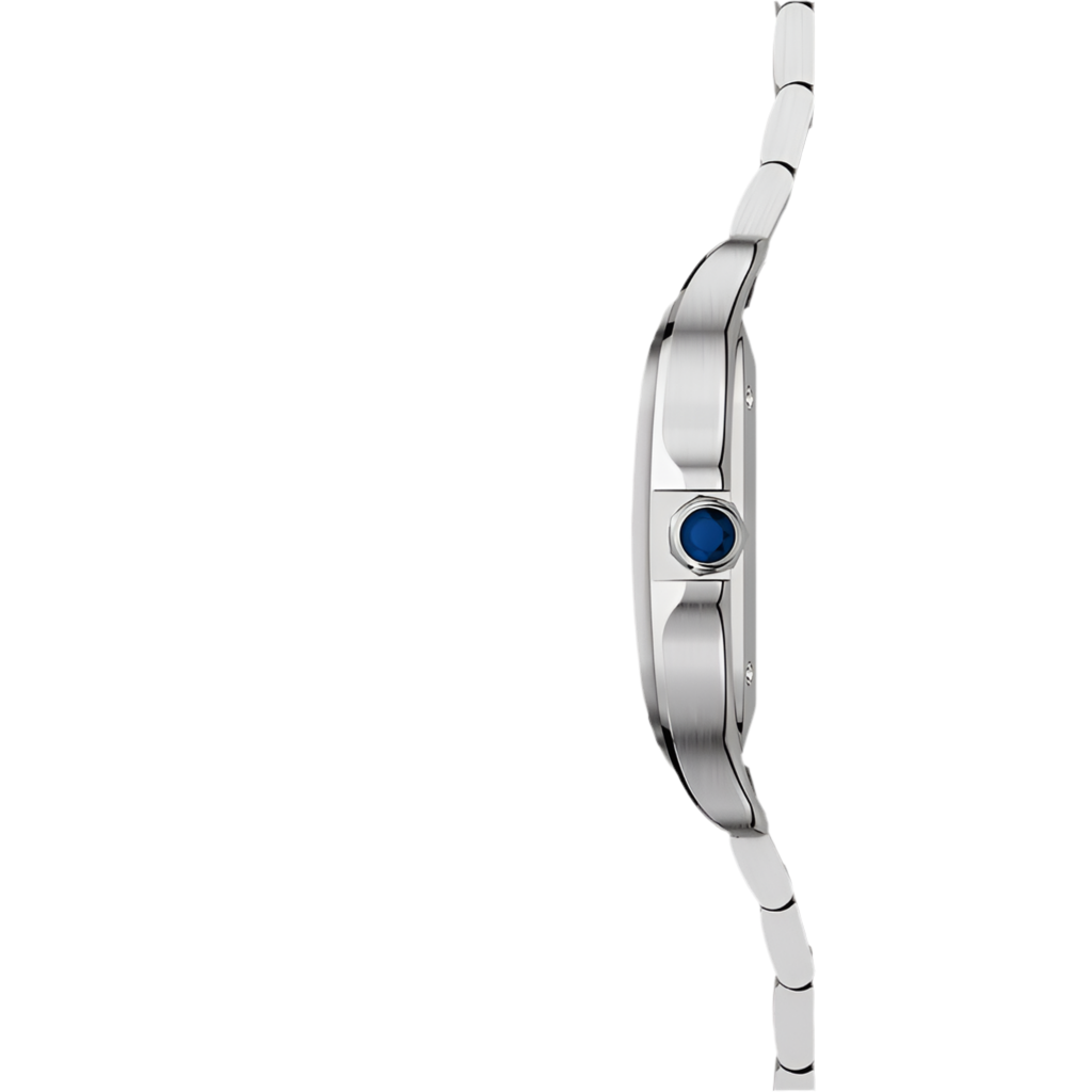Cartier Santos de