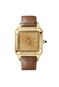 Cartier Santos de Super Clone Swiss Machine